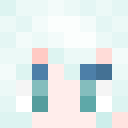 Player skin of 333444777
