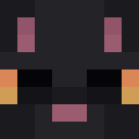 Player skin of N3iru