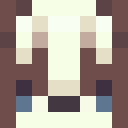 Player skin of steve333333333