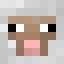 Player skin of samschaap