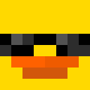 Player skin of duck_master002
