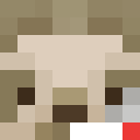 Player skin of PurestSloth