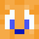 Player skin of arachnoscarab