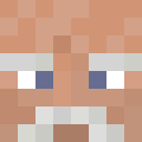 Player skin of LeonTolstoi