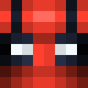 Player skin of wondol0297