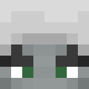 Player skin of VIPChe