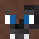 Player skin of foxy11147