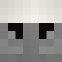 Player skin of VoidandNull
