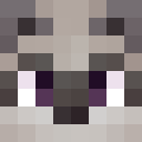 Player skin of xXLight_LoveXx