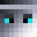 Player skin of StormZ_99