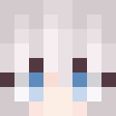 Player skin of nico990195