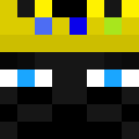 Player skin of WindowThe11