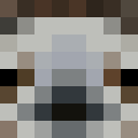Player skin of S1RF4ULT13R