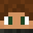Player skin of SeaTurtle7254