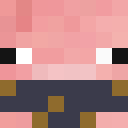 Player skin of Not4Narwhals