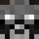 Player skin of Altikto