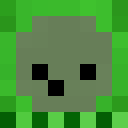 Player skin of _shimsh_