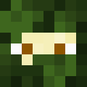 Player skin of NoName77_none