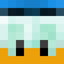 Player skin of omeg33