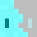Player skin of RaazaK_
