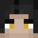 Player skin of niccoftime