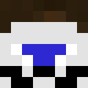 Player skin of imakita334