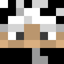 Player skin of mattylol