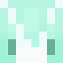 Player skin of 8X8W