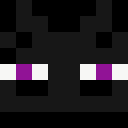 Player skin of RedBulComander67
