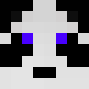 Player skin of CrowJRC