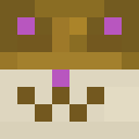 Player skin of Csumcat