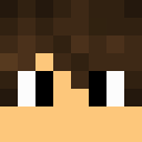 Player skin of TheNeedles