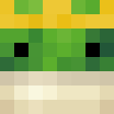 Player skin of TheFrogGoesMoo