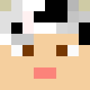 Player skin of maiensaess