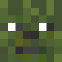 Player skin of SwatDoge