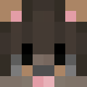 Player skin of miyg