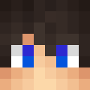 Player skin of FDDHDDUSBSSDNVMe