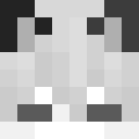 Player skin of 0_Xoyr_0