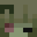 Player skin of Pumpkinzii