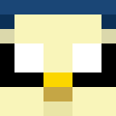 Player skin of wille1127