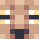 Player skin of AccidentalGoat