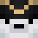 Player skin of spazissues