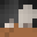 Player skin of ShadowPlayer0709