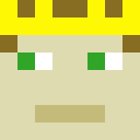 Player skin of Everryone