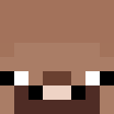 Player skin of troubleturtle8