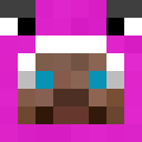 Player skin of Neptov