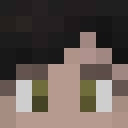 Player skin of NoxTheFox