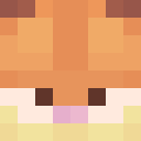 Player skin of Sanhag29
