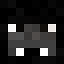 Player skin of triplezko