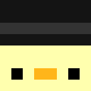 Player skin of physnrd